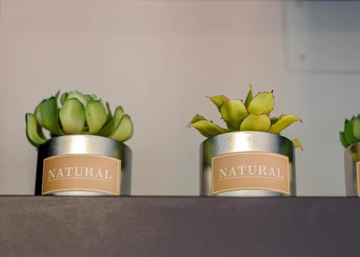 公寓 Oto 扎博里克